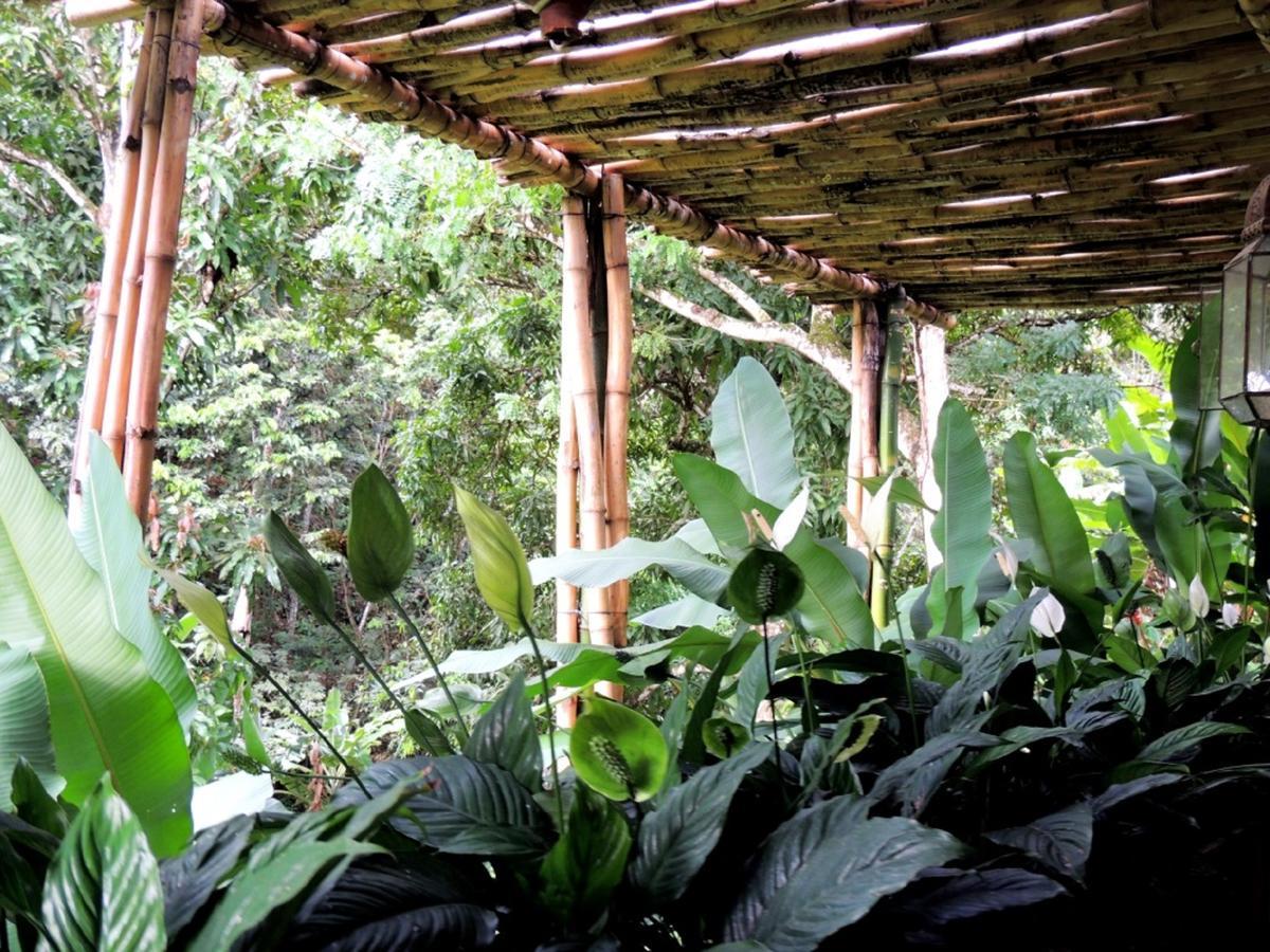Sitio Alto Da Montanha - Voce Em Paz Com A Natureza 파코치 외부 사진