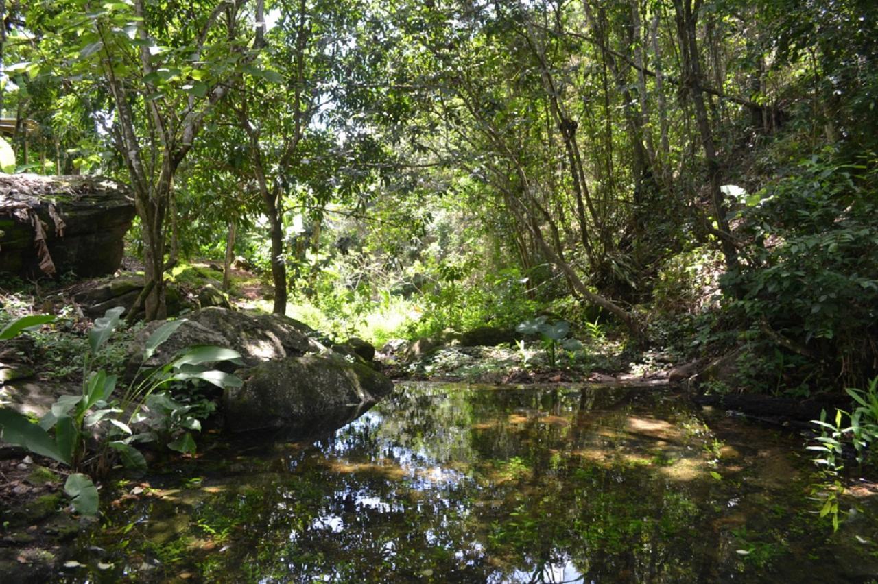 Sitio Alto Da Montanha - Voce Em Paz Com A Natureza 파코치 외부 사진