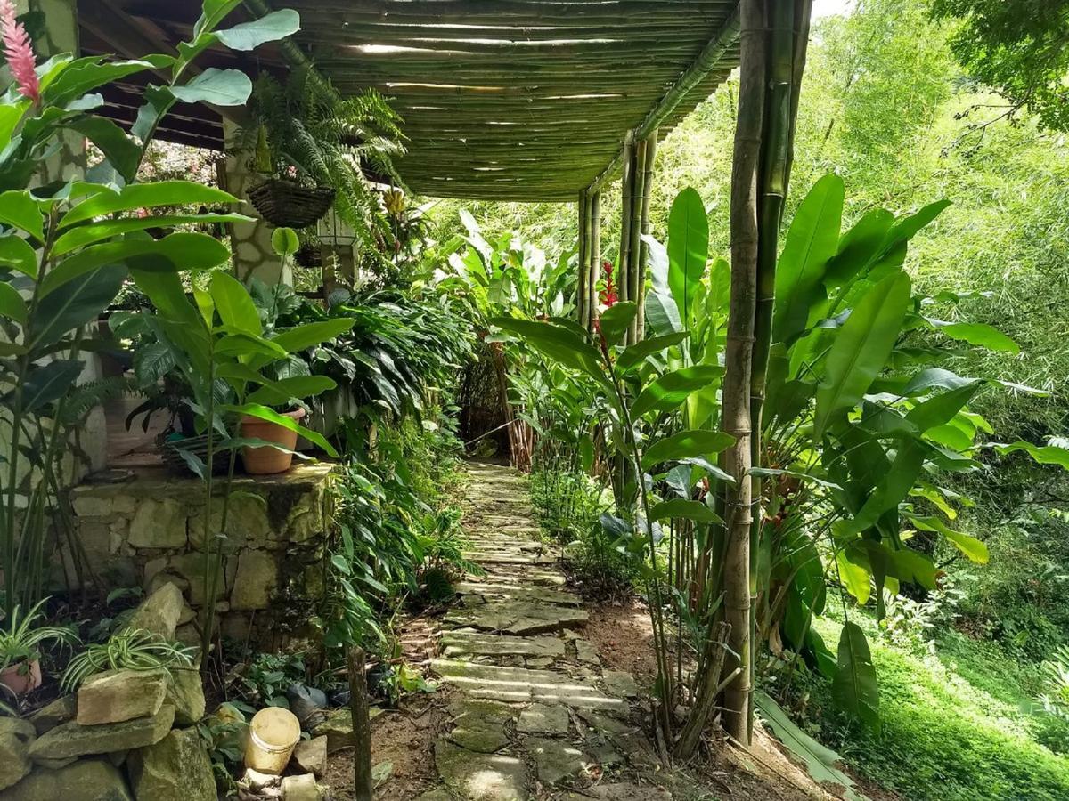 Sitio Alto Da Montanha - Voce Em Paz Com A Natureza 파코치 외부 사진